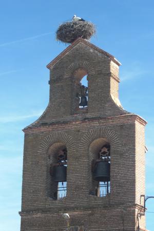 La torre